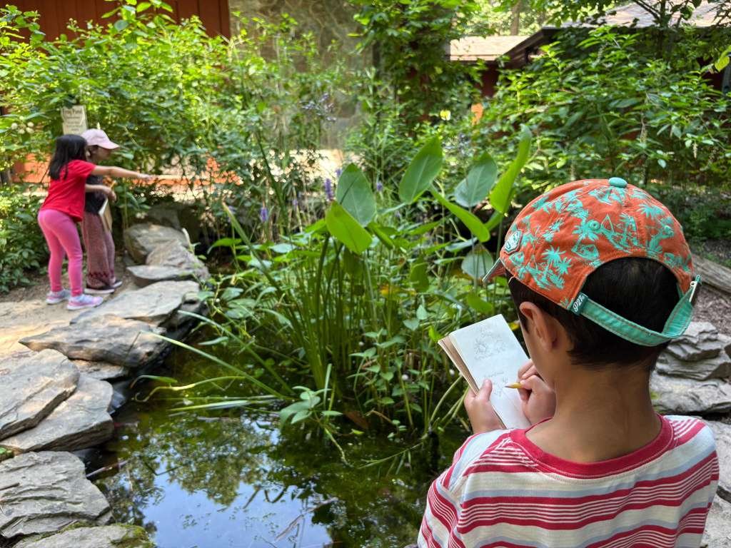 Wise Tree program image